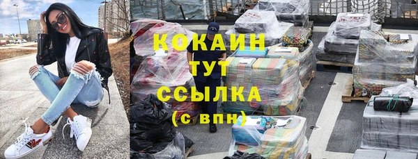 мдпв Вязьма