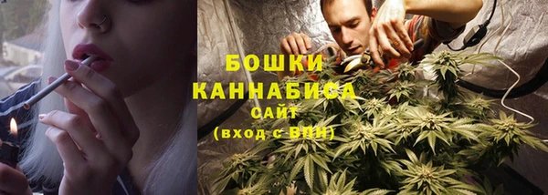 мдпв Вязьма