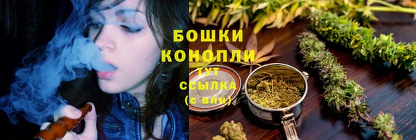 мдпв Вязьма