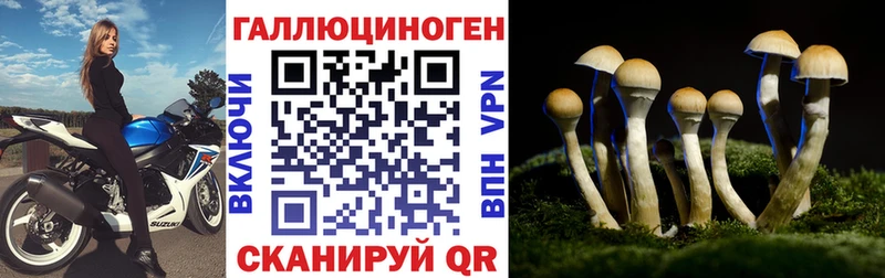 mega вход  Северская  Галлюциногенные грибы прущие грибы 